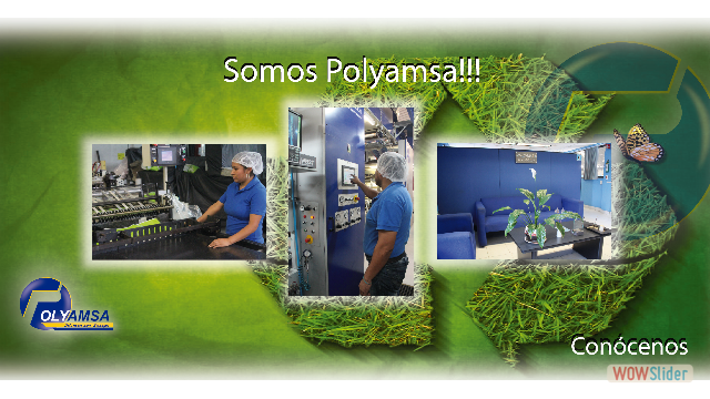 SOMOS POLYAMSA